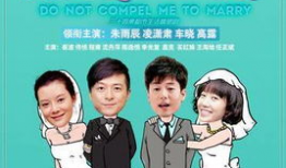 别逼我结婚电视剧,爱情与现实的抉择，青春的甜蜜与苦涩