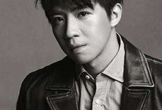 俞灏明演过什么电视剧,从一起来看流星雨到那年花开月正圆，探寻他的演艺之路