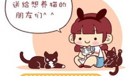 趣味漫画,趣味漫画里的欢乐时光