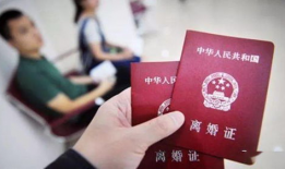 电视剧离婚协议,情感纠葛与家庭抉择的漩涡