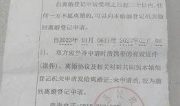 电视剧离婚协议,情感纠葛与家庭抉择的漩涡