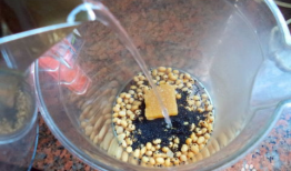 黑芝麻豆浆热量测评,营养美味与低热量完美结合