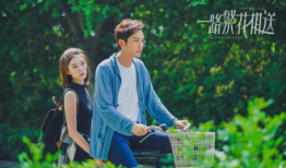 青春爱情电视剧,爱在心动瞬间