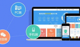 麻豆网站建设,打造专业、高效的电子商务平台