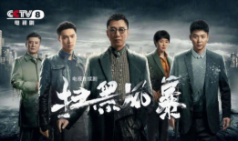扫黑风暴电视剧,正义风暴席卷而来，揭开黑恶势力背后的惊天秘密