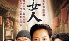 电视剧关中女人,岁月流转中的坚韧与柔情