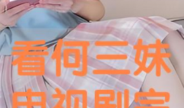 电视剧何三妹,逆境中的坚韧女性传奇