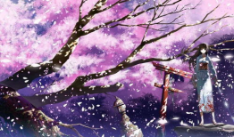 樱花漫画网站,探索日本动漫文化的魅力之旅