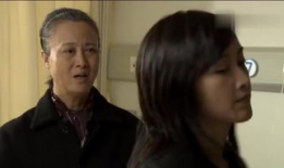 亲妈 电视剧,温情演绎母女情深，揭秘家庭温情故事