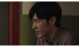 真相 电视剧,揭开迷雾，探寻真相的惊心动魄之旅