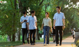 法庭电视剧,正义与智慧的较量