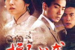 换子成龙电视剧,命运交织的父子传奇