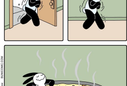 趣味漫画,趣味漫画里的欢乐时光