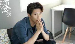 彭冠英演过的电视剧,从古装侠客到现代精英，演绎多面人生