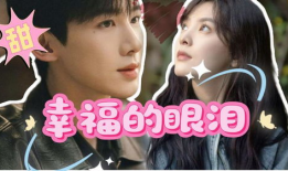 电视剧偶像,梦想与现实的交织