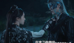 女将军电视剧,铁血柔情，战旗飘扬