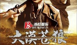 苍狼 电视剧,烽火岁月中的英雄传奇