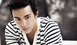 陈楚河电视剧,情感纠葛与命运抉择的华丽篇章