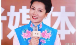 何赛飞演的所有电视剧,跨越时代与角色的精彩演绎