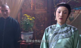 菊花醉电视剧,宫廷权谋与爱恨情仇的纠葛