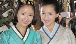 苏青的电视剧,情感纠葛与时代变迁的交织