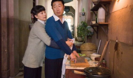 王贵与安娜电视剧全集,情感纠葛，命运交织