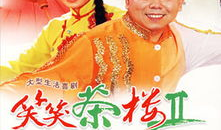 笑笑茶楼第二部电视剧,风云再起，笑谈江湖