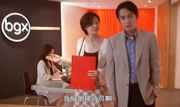 老板来了电视剧,职场风云再起，权谋与情感交织的商战传奇