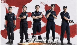 好看的缉毒电视剧大全,揭秘荧屏上的正义之战