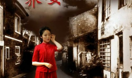 养女电视剧,命运交织的亲情救赎