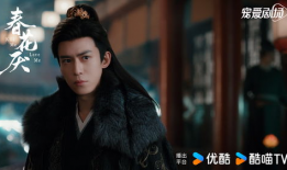 陈楚河电视剧,情感纠葛与命运抉择的华丽篇章