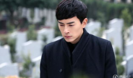 郑元畅主演电视剧,青春校园的浪漫传奇