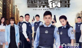 警察锅哥电视剧,正义与智慧的较量