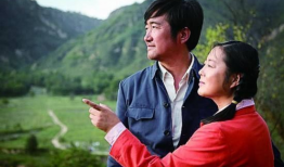 王茜华演的电视剧,家国情怀与时代变迁