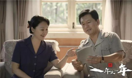 新一年又一年电视剧,光影流转——新一年又一年电视剧精彩回顾