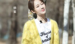 杨紫主演电视剧,演绎青春成长，诠释情感纠葛