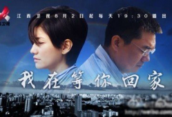 电视剧回家,温情岁月里的亲情纠葛与人生抉择