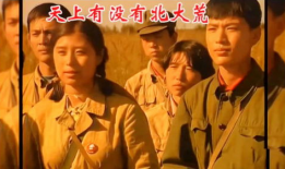 年轮电视剧主题曲,岁月流转，青春不散场