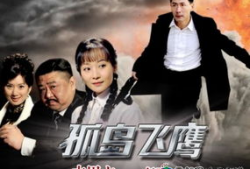 孤岛飞鹰 电视剧,孤胆英雄的生死较量，揭秘抗战传奇！