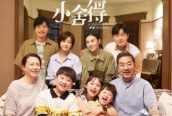 电视剧 家庭,温情岁月里的爱与成长