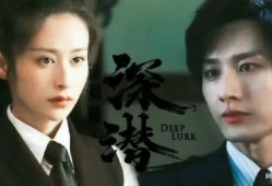 最热电视剧,揭秘中国刑侦界的巅峰对决