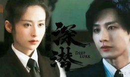 最热电视剧,揭秘中国刑侦界的巅峰对决