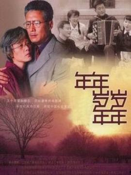 年年岁岁年年 电视剧,岁月流转中的情感纠葛