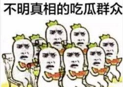 微信吃瓜表情包是什么意思,网络热传的趣味解读